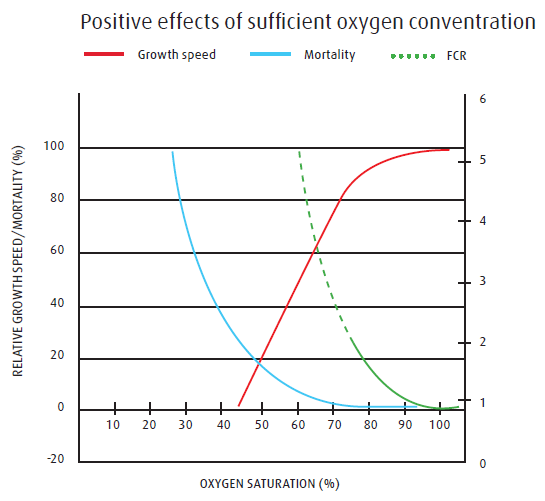 The importance of oxygen applied in aquaculture-1.png