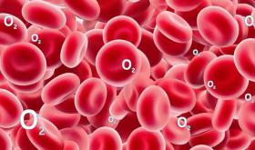Does PSA Oxygen Enrichment Increase Oxygen Content or Oxygen Partial Pressure?